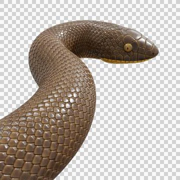 Rubber Boa Pose Stock Illustration