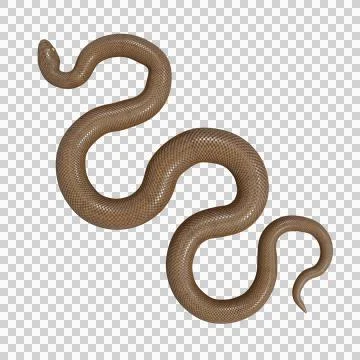Rubber Boa Pose Stock-Illustration
