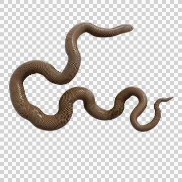 Rubber Boa Pose Stock-Illustration