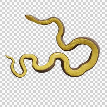 Rubber Boa Pose Illustrazione stock