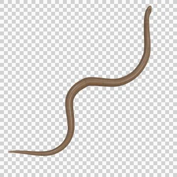 Rubber Boa Pose Stock-Illustration