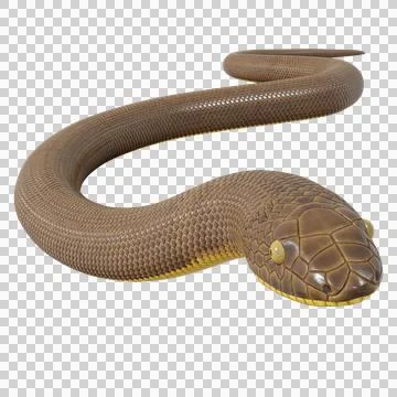 Rubber Boa Pose Stock-Illustration
