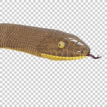 Rubber Boa Pose Stock Illustration