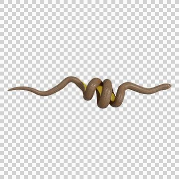 Rubber Boa Pose Stock Illustration