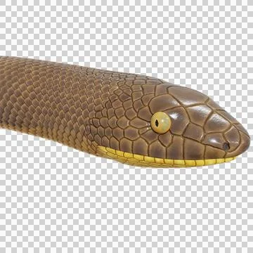 Rubber Boa Pose Stock Illustration