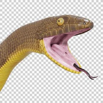 Rubber Boa Pose Stock-Illustration