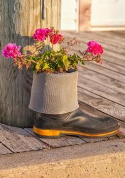 Rubber boot garden Stock Photos