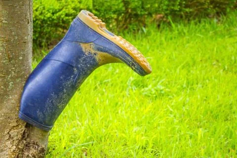 Rubber boot, green grass. Stock Photos