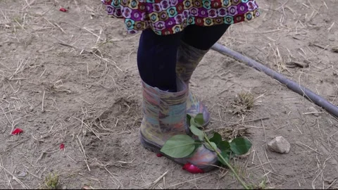 Rubber Boots Stepping on a Red Rose in a Dirt Field 動画素材 287152772