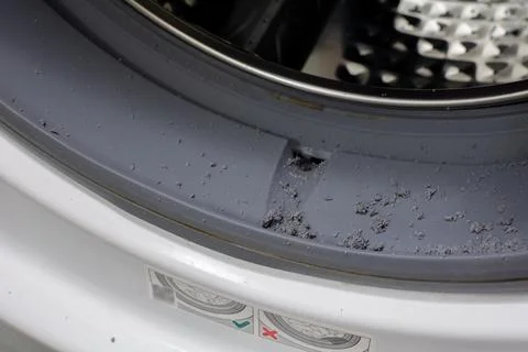 Rubber breadcrumbs same colour as drum seal after washing machine cycle. Mo.. Stock Photos