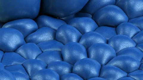 Rubber Bubbles Blue Stock Footage 113879653