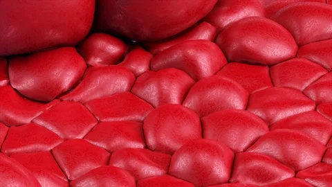 Rubber Bubbles Red Video stock 113879834