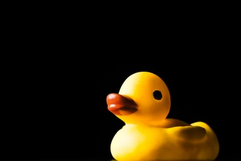 Rubber duck, on black background Stock Photos