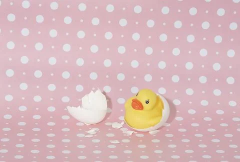 Rubber duck in eggshell Stock Photos