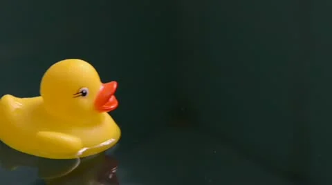 Rubber duck floating on water Stock Footage