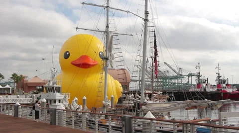 The Rubber Duck Stock Footage 41073713