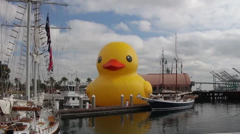 The Rubber Duck Stock Footage 41074314