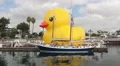 The Rubber Duck HD Footage