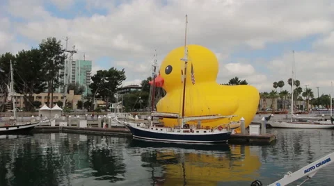 The Rubber Duck Stock Footage 41074835