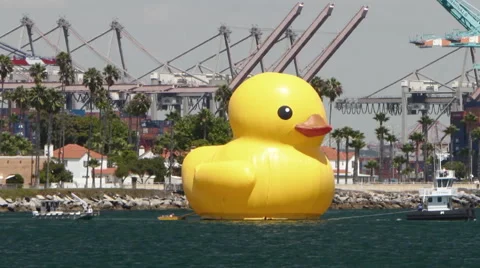The Rubber Duck Stock Footage 41076128