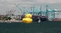 The Rubber Duck HD Footage