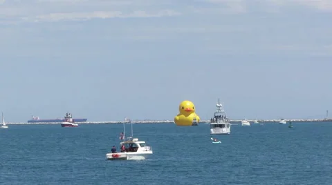 The Rubber Duck Stock Footage 41076848