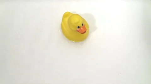 Rubber duck Stock Footage 62600142