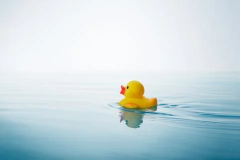 Rubber duck Stock Photos