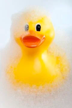 Rubber duck Stock Photos