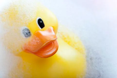 Rubber duck Stock Photos