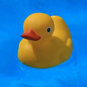 Rubber duck Stock Photos