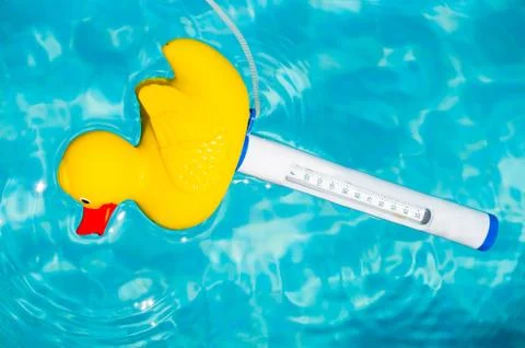 Rubber duck Stock Photos