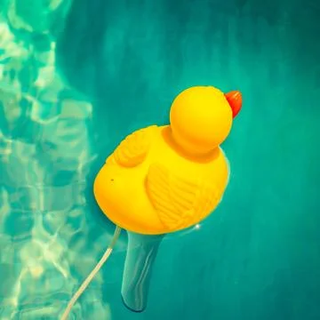 Rubber duck Stock Photos