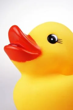 Rubber Duck Stock Photos