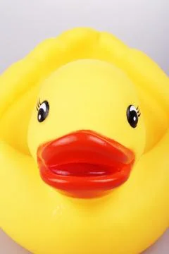 Rubber Duck Stock Photos