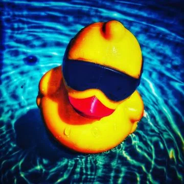 Rubber Duck Stock Photos