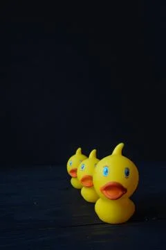 Rubber duck Stock Photos