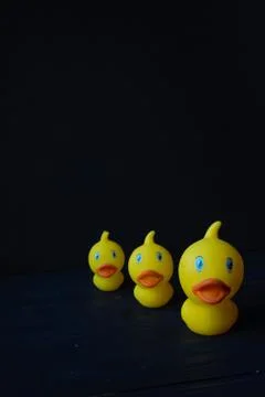Rubber duck 库存照片