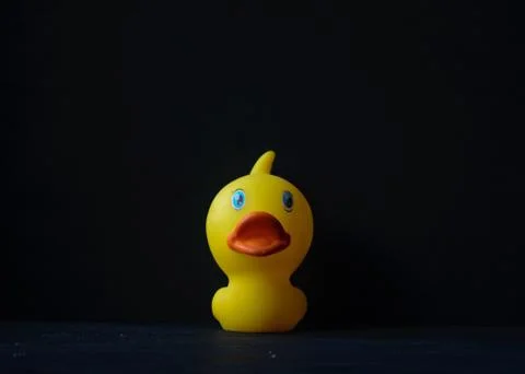 Rubber duck 库存照片