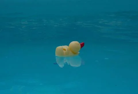 Rubber duck Stock-Fotos