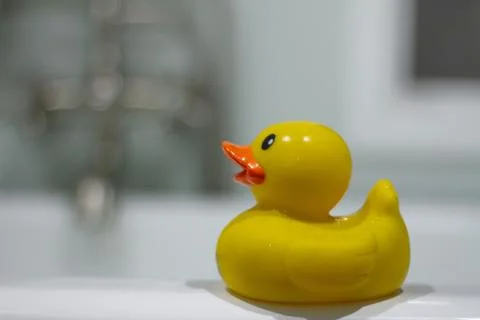 Rubber Duck Stock Photos