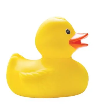 Rubber duck Foto stock