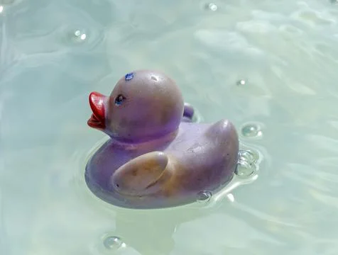 Rubber duck Stock Photos