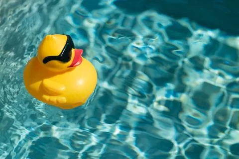 Rubber Duck in a Pool Foto stock