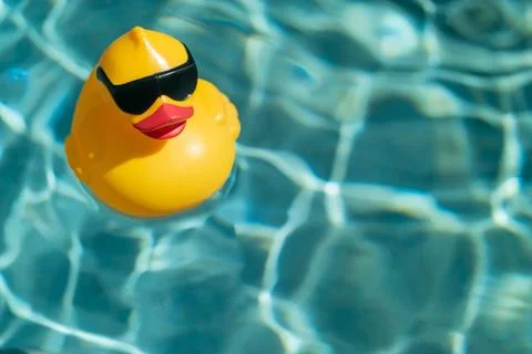 Rubber Duck in a Pool Foto stock