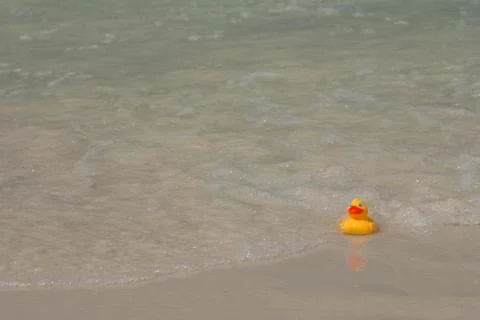 Rubber duck in surf facing Stock Photos