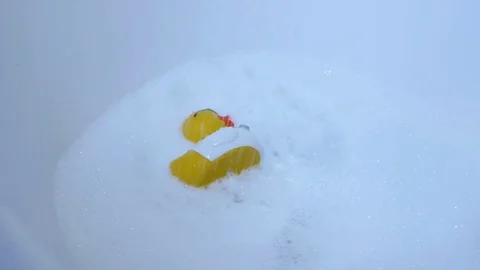Rubber duck is taking a bath Video stock 71182322