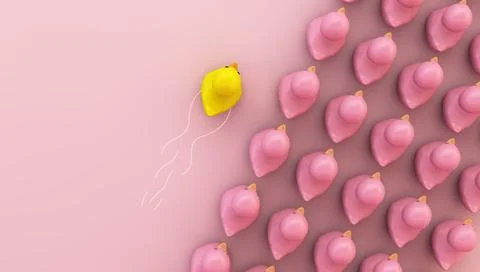 Rubber duck team Stock Illustration