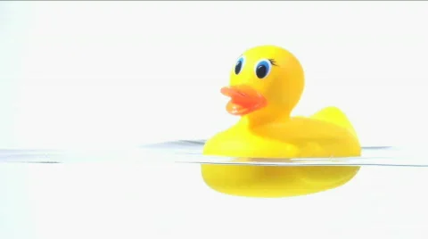 Rubber duck in water - HD  Stock Footage