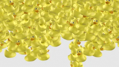 Rubber Duck yellow Transition element with alpha channel. Stock Footage 304870401
